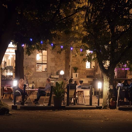 Le restaurant - Le Panorama - restaurant LAPARADE - Restaurant Viande